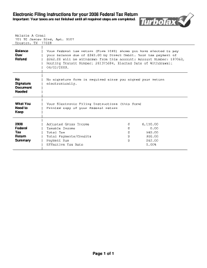 2008 US Federal Tax Return Form 1040