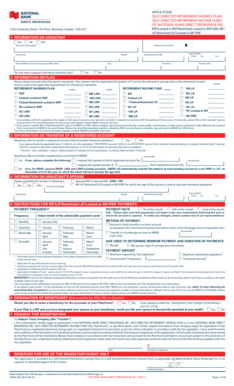 Self-Directed Retirement Savings Plan Application