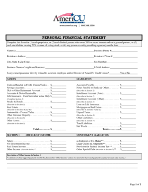 Personal Financial Statement Form