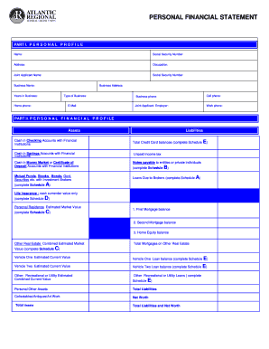 Personal Financial Statement Form