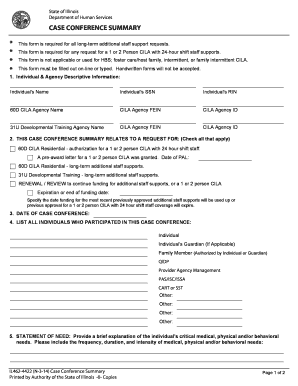 Illinois Case Conference Summary Form