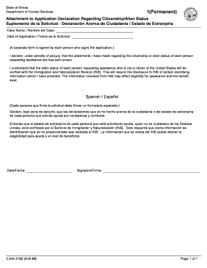 Illinois Citizenship Declaration Form
