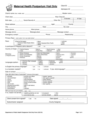 Postpartum Visit Form