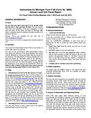 Michigan Form F-65 Annual Local Unit Fiscal Report