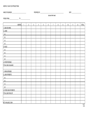 Monthly Cash Flow Projections Form