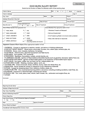 Form preview picture