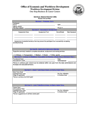 Individual Service Strategy Form
