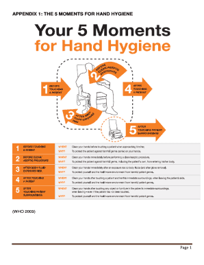 5 Moments Of Hand Hygiene Pdf - Fill Online, Printable, Fillable, Blank ...