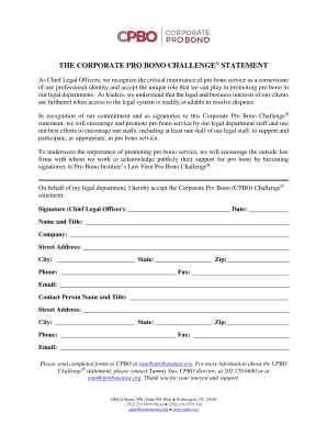 Corporate Pro Bono Challenge Statement