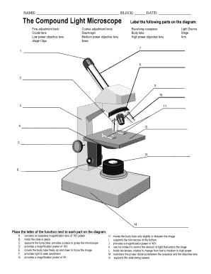 Microscope Parts And Functions Pdf - Fill Online, Printable, Fillable ...