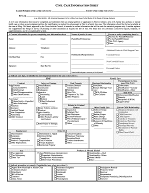 Texas Civil Case Information Sheet