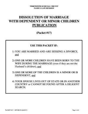 Florida Divorce with Minor Children
