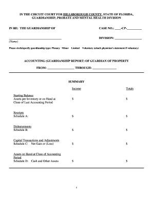 Florida Guardian of Property Accounting Form