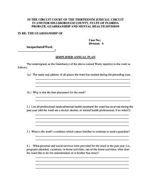 Florida Simplified Annual Plan for Guardianship