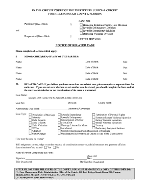 Florida Notice of Related Cases Form