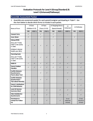 Triple P Evaluation Consent Form