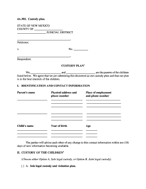 New Mexico Custody Plan
