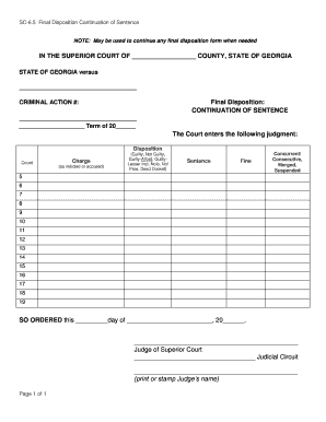 Georgia Final Disposition Continuation of Sentence
