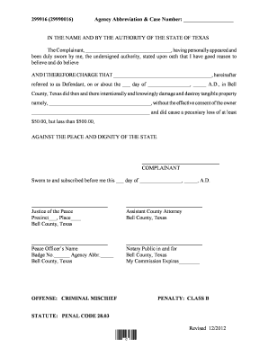Texas Criminal Mischief Complaint Form