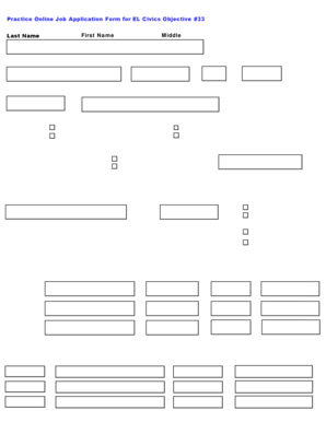 Practice Online Job Application Form