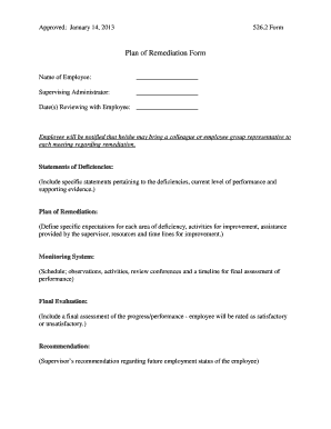 Plan of Remediation Form