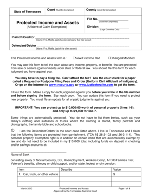 Tennessee Protected Income and Assets Affidavit