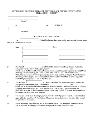 Custody Scheduling Order