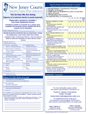Court User Satisfaction Survey