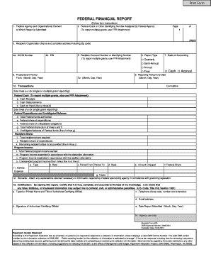 Federal Financial Report Form