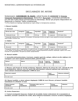 Romanian Asset Declaration Form