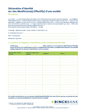 Déclaration d’identité du / des Bénéficiaire(s) Effectif(s)