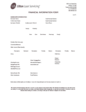 Litton Loan Financial Information Form