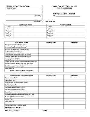 South Carolina Financial Declaration Form