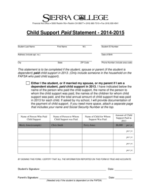 Child Support Paid Statement