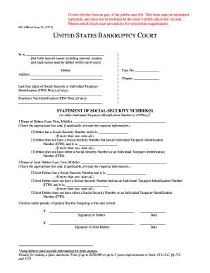 US Bankruptcy Court Statement of Social Security Number
