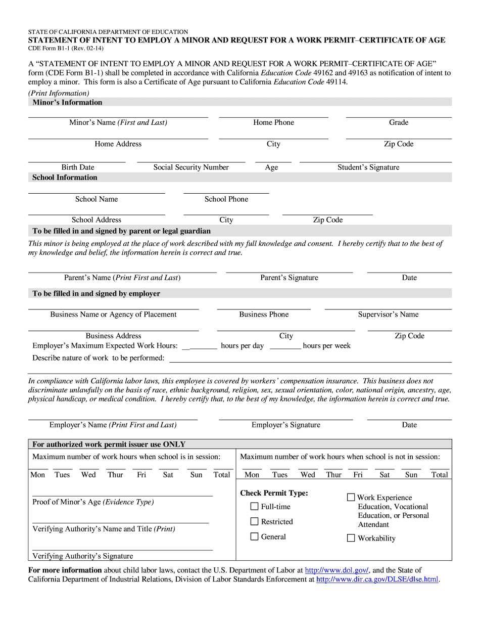 Worker Permit Printable Blank PDF Online