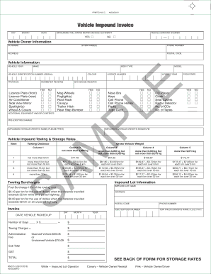 Form preview picture