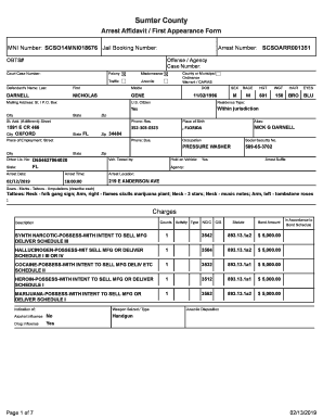 Form preview picture