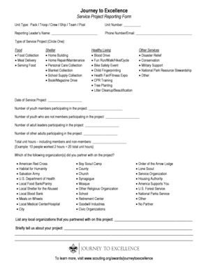 Service Project Reporting Form