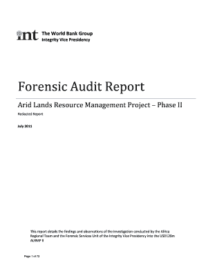Forensic Audit Report Fill Online Printable Fillable Blank Sfe
