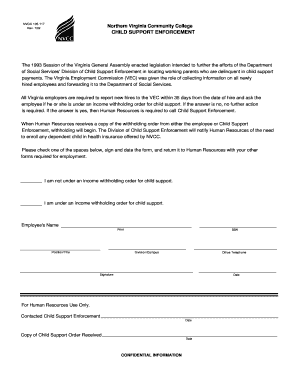 Virginia Child Support Enforcement Form