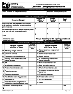 DARS3161 Consumer Demographic Information Form