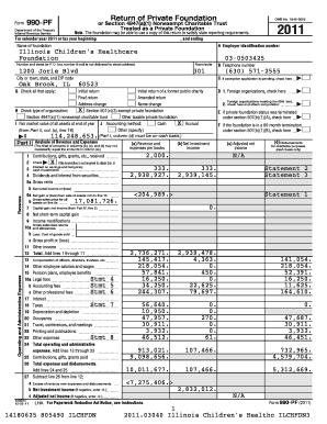 Form 990-PF 2011