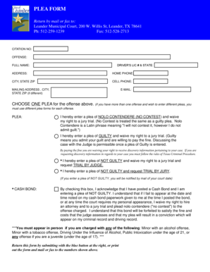 Texas Plea Form