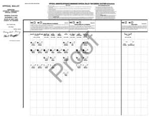 New York Absentee Affidavit Ballot