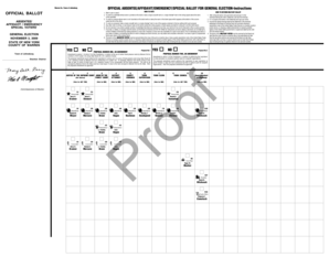 New York Absentee Affidavit Ballot