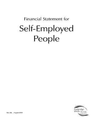 UK Self-Employed Financial Statement