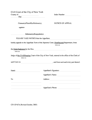 New York Notice of Appeal