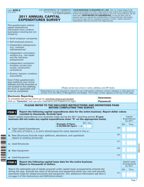 US Census Bureau Capital Expenditures Survey Form ACE-2