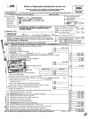 IRS Form 990 2004